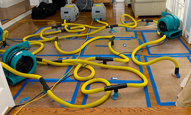 Professional Burst Pipe Water Damage technician working in Russellville, MO